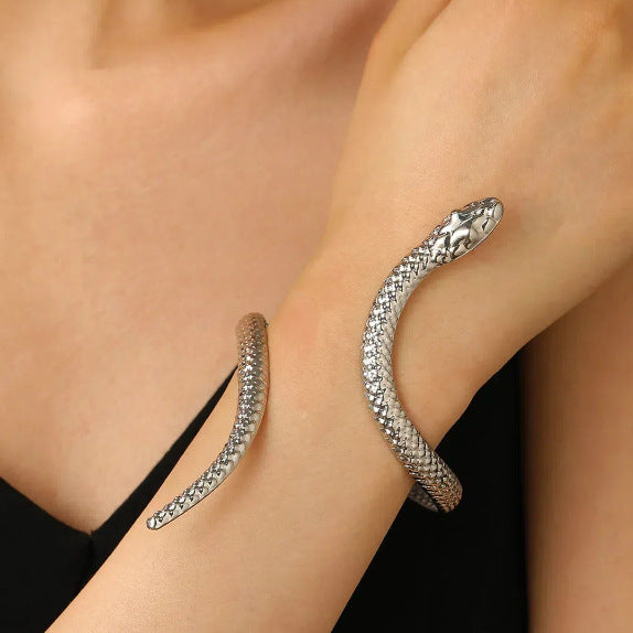 Snake Adjustable Bracelet Ring Set Gold Silver Jewelry