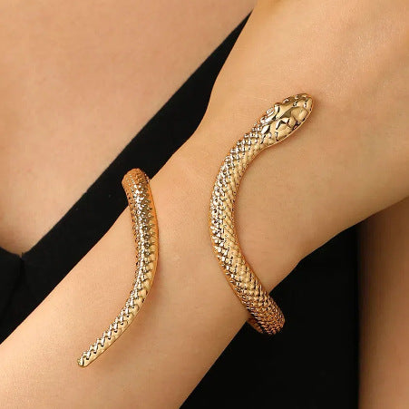 Snake Adjustable Bracelet Ring Set Gold Silver Jewelry