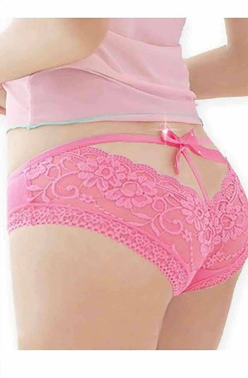 Women Sheer Mesh Lace Trim Brief Underwear Stretch Panty Set