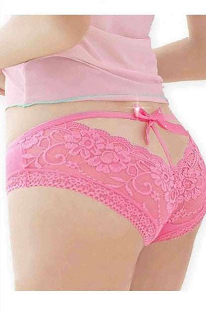 Women Sheer Mesh Lace Trim Brief Underwear Stretch Panty Set